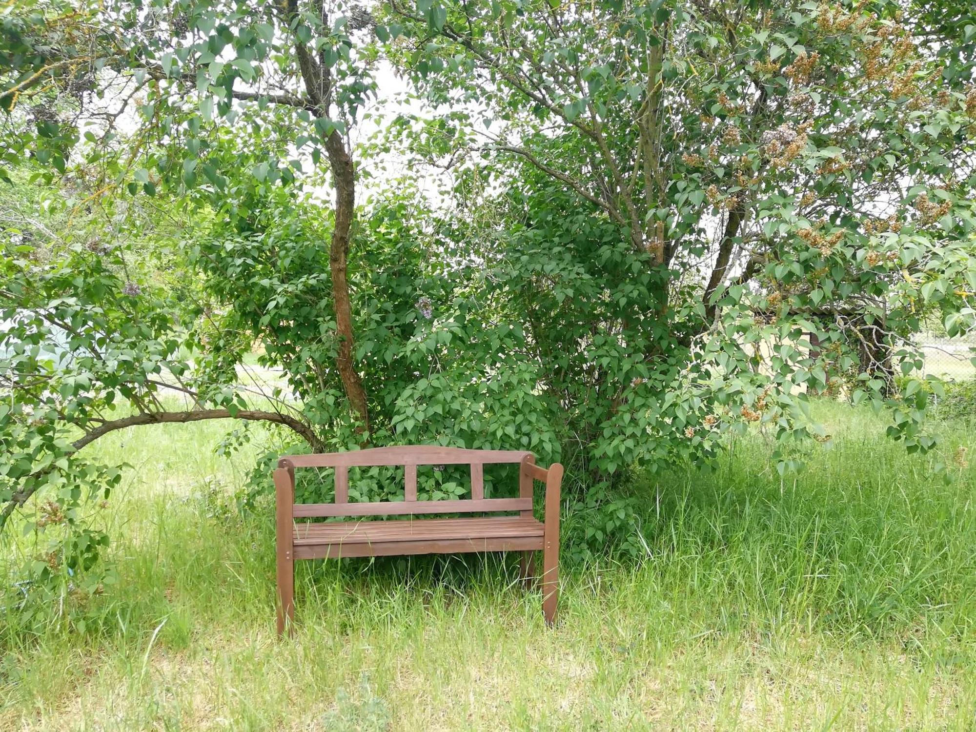 Kleine Galerie Apartment Fuer 3 Mit Kueche Kamin Netflix Parken Und Hofladen Steinhofel Zewnętrze zdjęcie